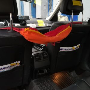 photo_2025-02-15_12-47-05